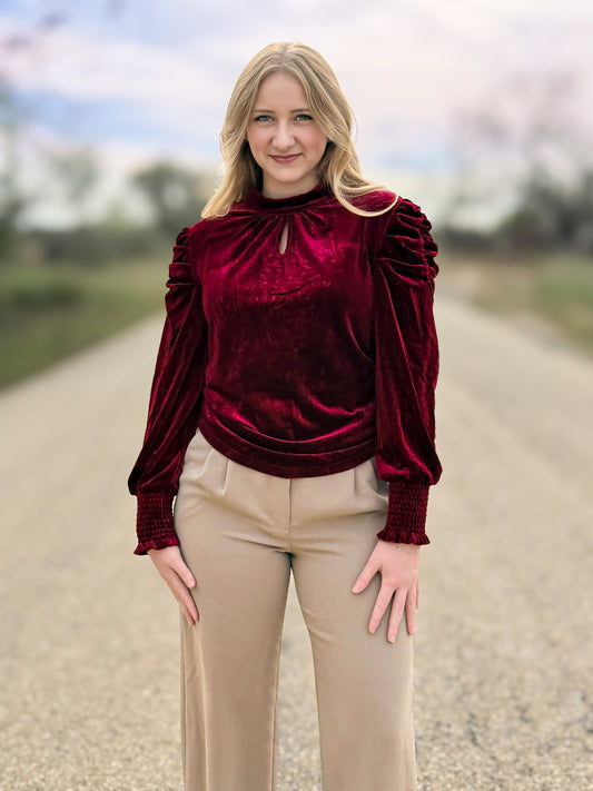 Mock Neck Puff Sleeve Velvet Blouse