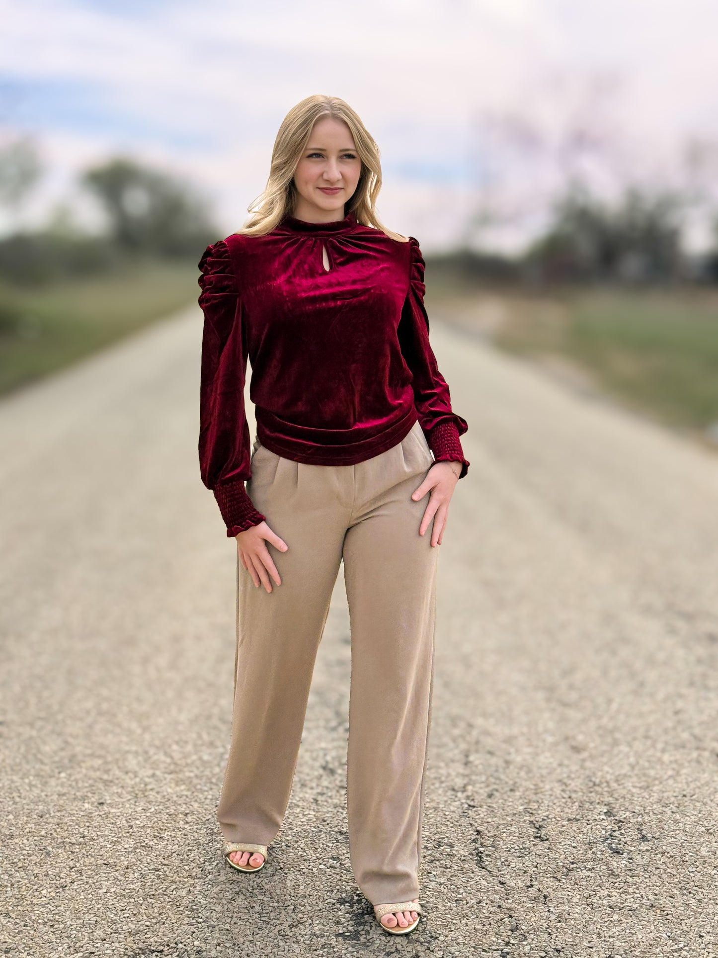 Mock Neck Puff Sleeve Velvet Blouse