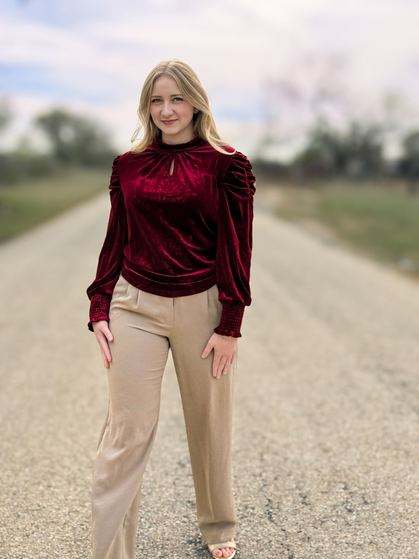 Mock Neck Puff Sleeve Velvet Blouse
